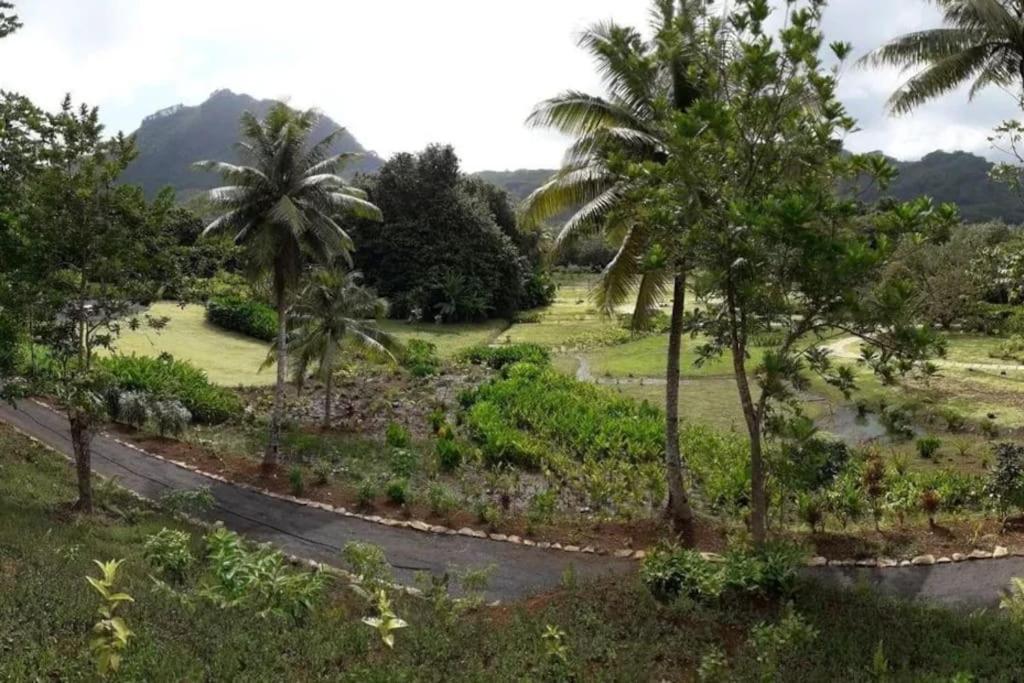 Duplex En Bord De Mer Fare Tahitea Pension Taputapuapea ภายนอก รูปภาพ